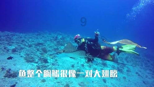 台源酒上线i茅台17分钟售罄，贵州茅台暂居上市公司归母净利润榜首，发展势头良好